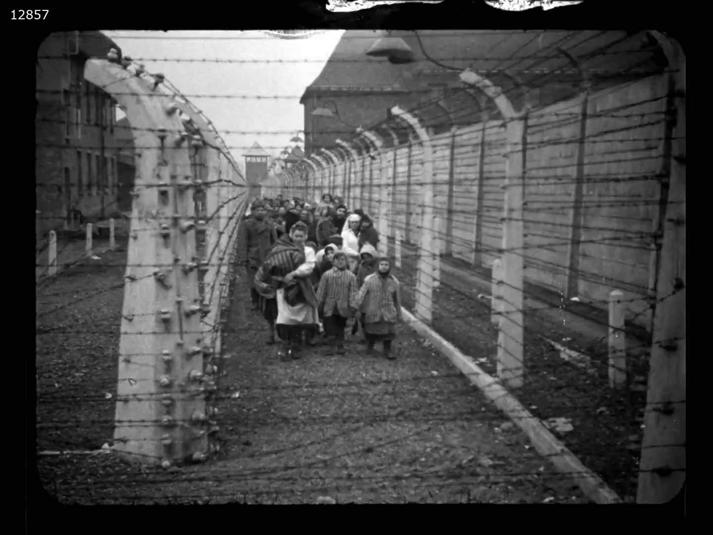 Image 8 Footage shot by Soviet cameramen during the liberation of concentration camp Auschwitz 1945