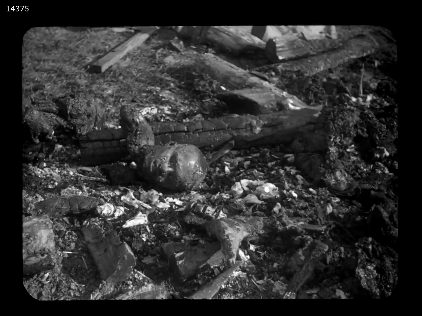 Image 78 Footage shot by Soviet cameramen during the liberation of concentration camp Auschwitz 1945