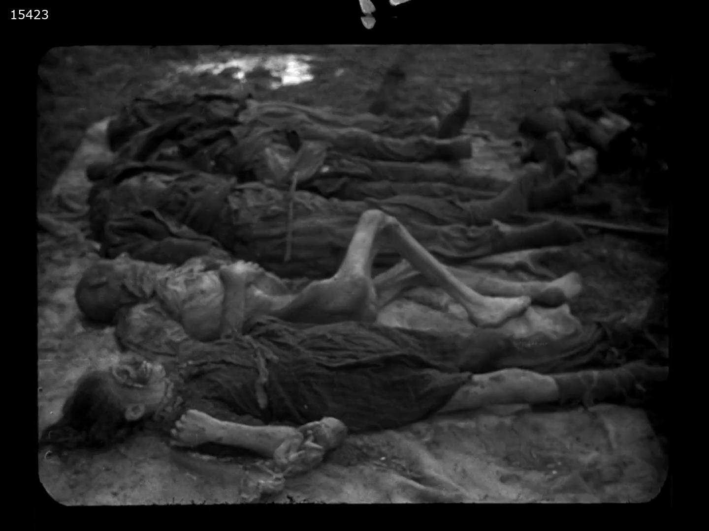 Image 20 Footage shot by Soviet cameramen during the liberation of concentration camp Auschwitz 1945