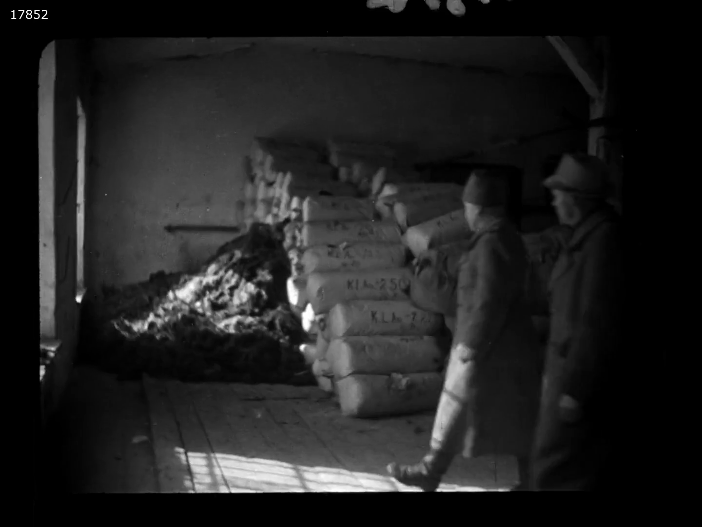 Image 70 Footage shot by Soviet cameramen during the liberation of concentration camp Auschwitz 1945